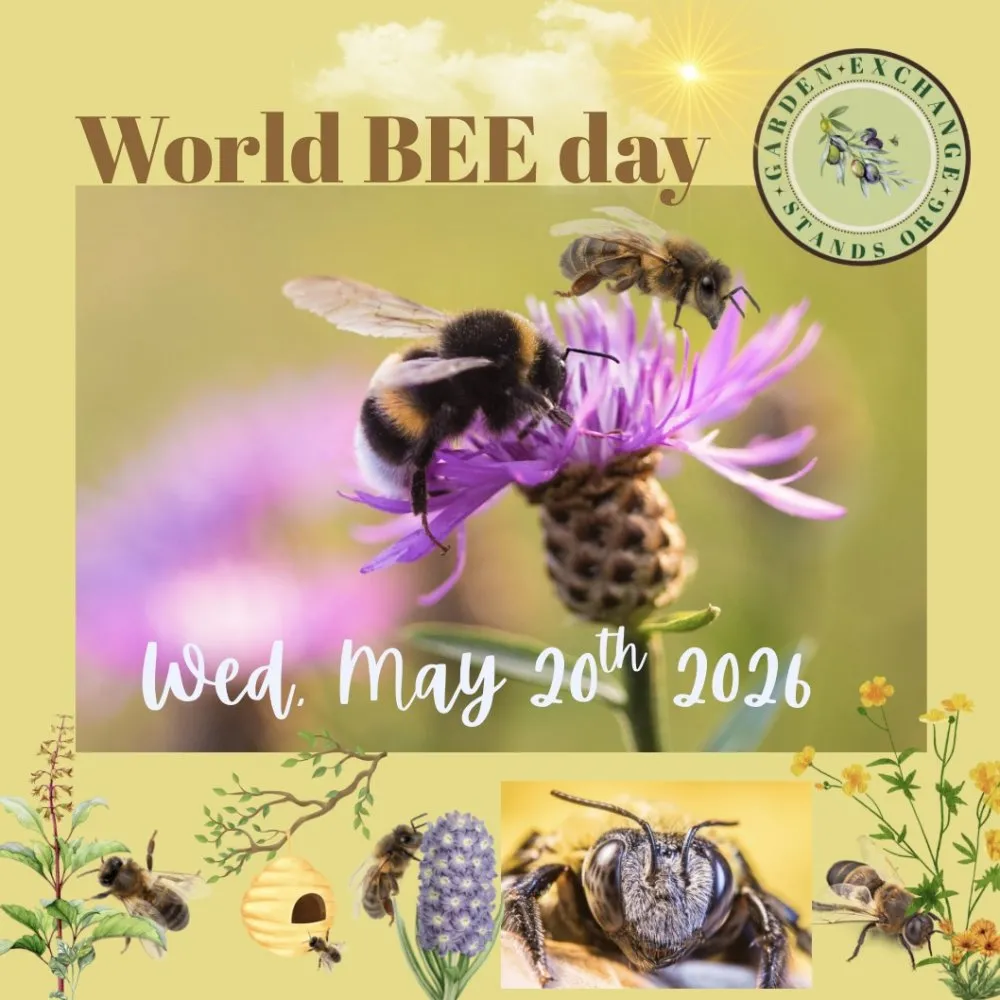 World BEE Day